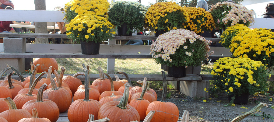 Ticonderoga Region Autumn Events Happening This Weekend!